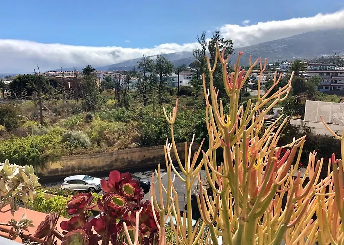 Sol Y Mar Im La Chiripa *