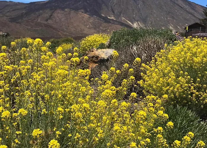 Sol Y Mar Im La Chiripa Apartamento